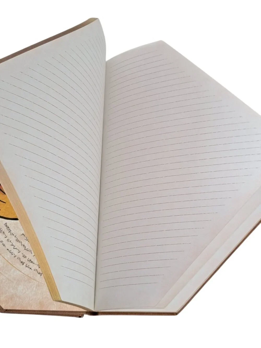 Wicked: The Grimmerie Collectible Hardcover Journal
